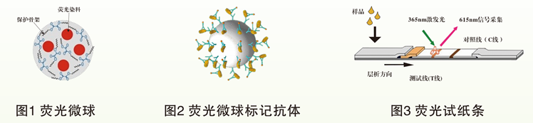 時間分辨熒光納米微球標記技術(shù)